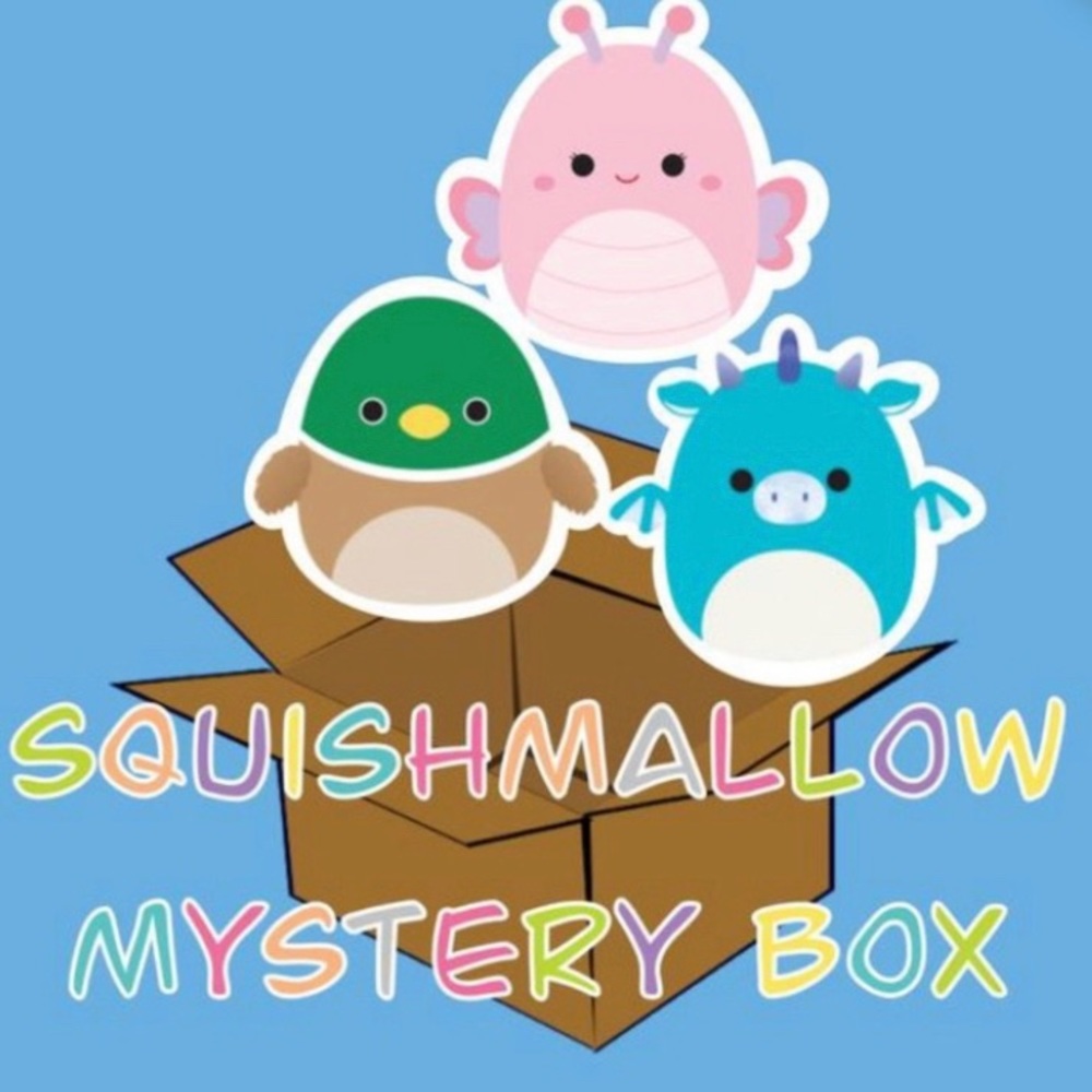 Mystery squishmallows box